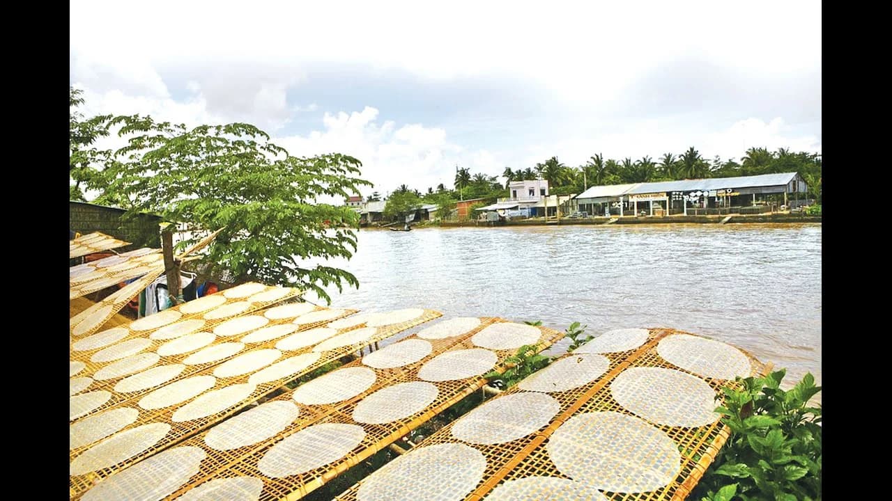 Quy trình sản xuất bánh tráng