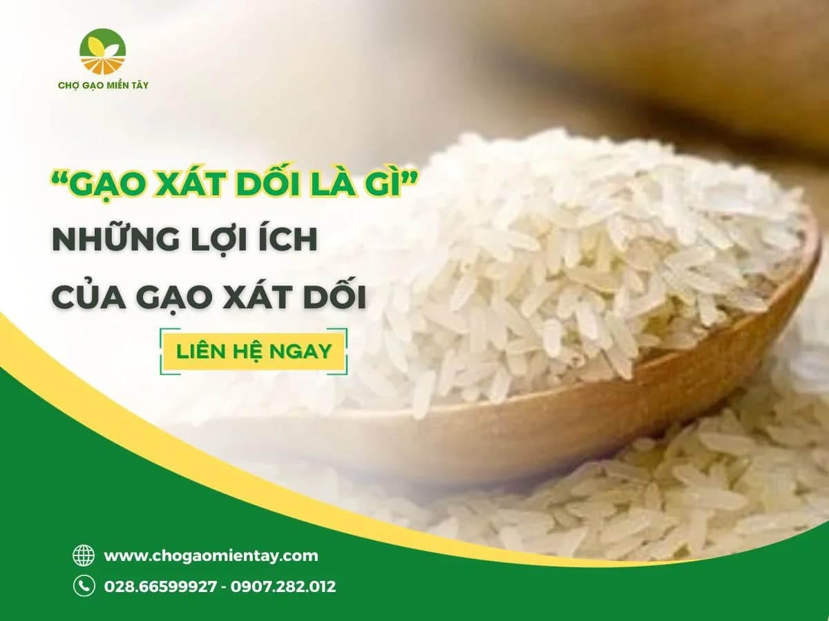 Gạo xát dối là gì? Gạo xát dối khác gì so với gạo trắng
