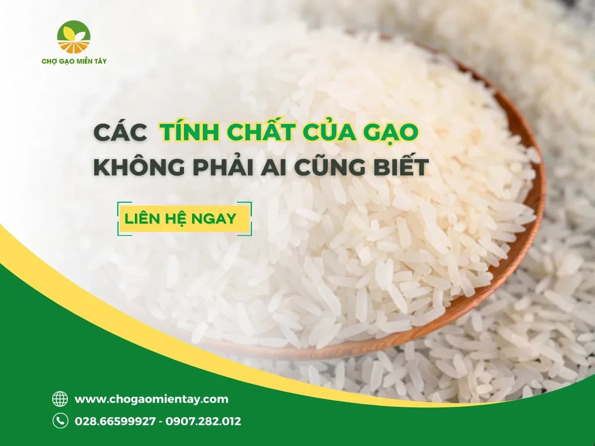 Tổng Hợp Các Tính Chất Của Các Gạo Phổ Biến Nhất