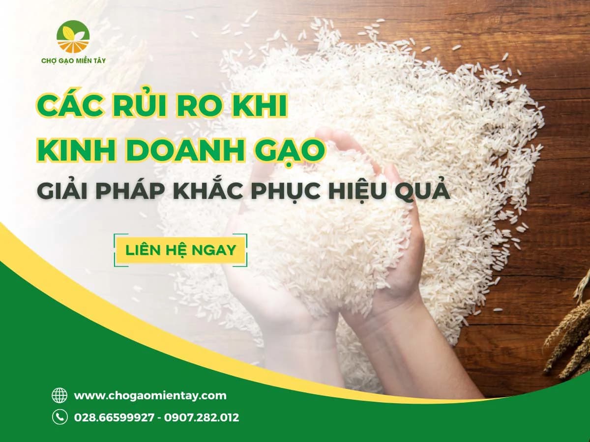 8 rủi ro khi kinh doanh gạo và giải pháp khắc phục hiệu quả
