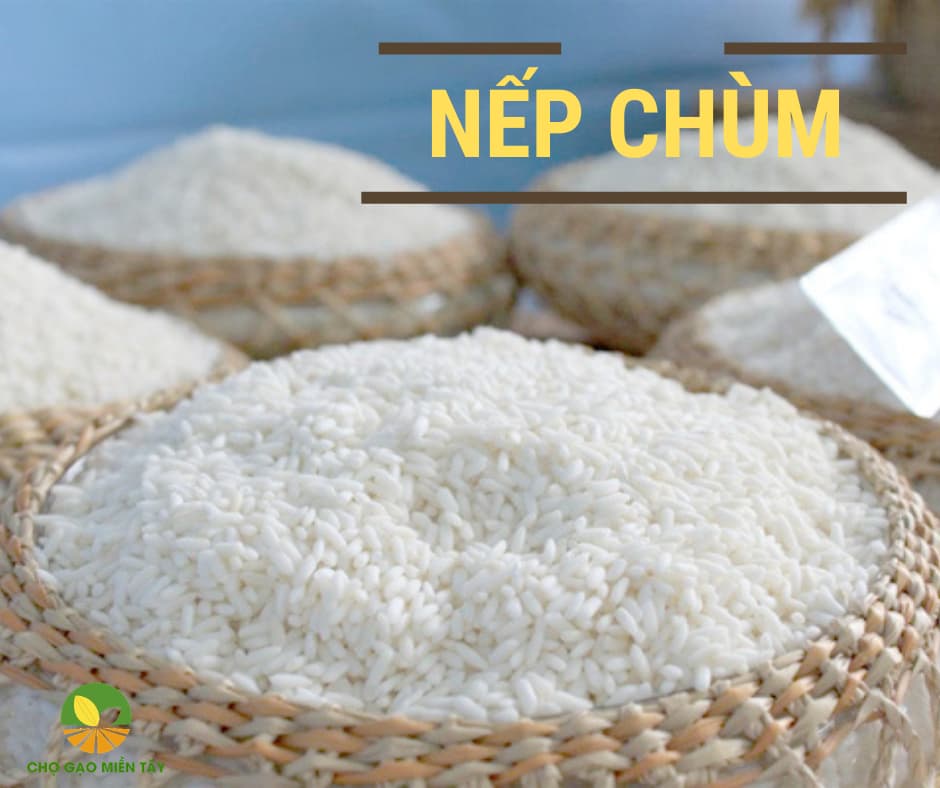 Gạo Nếp Chùm là gì? Kiến thức về gạo