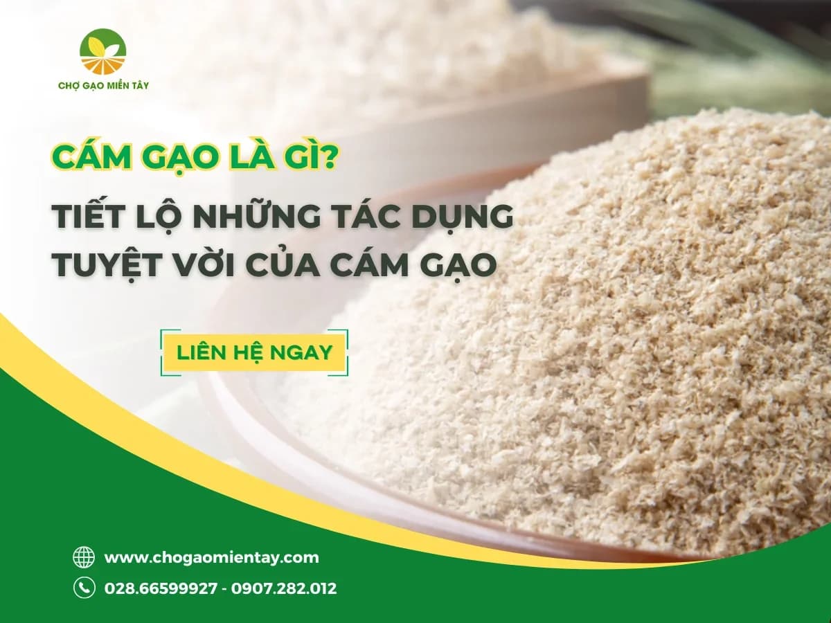 Cám gạo là gì? Các thành phần dinh dưỡng trong cám gạo