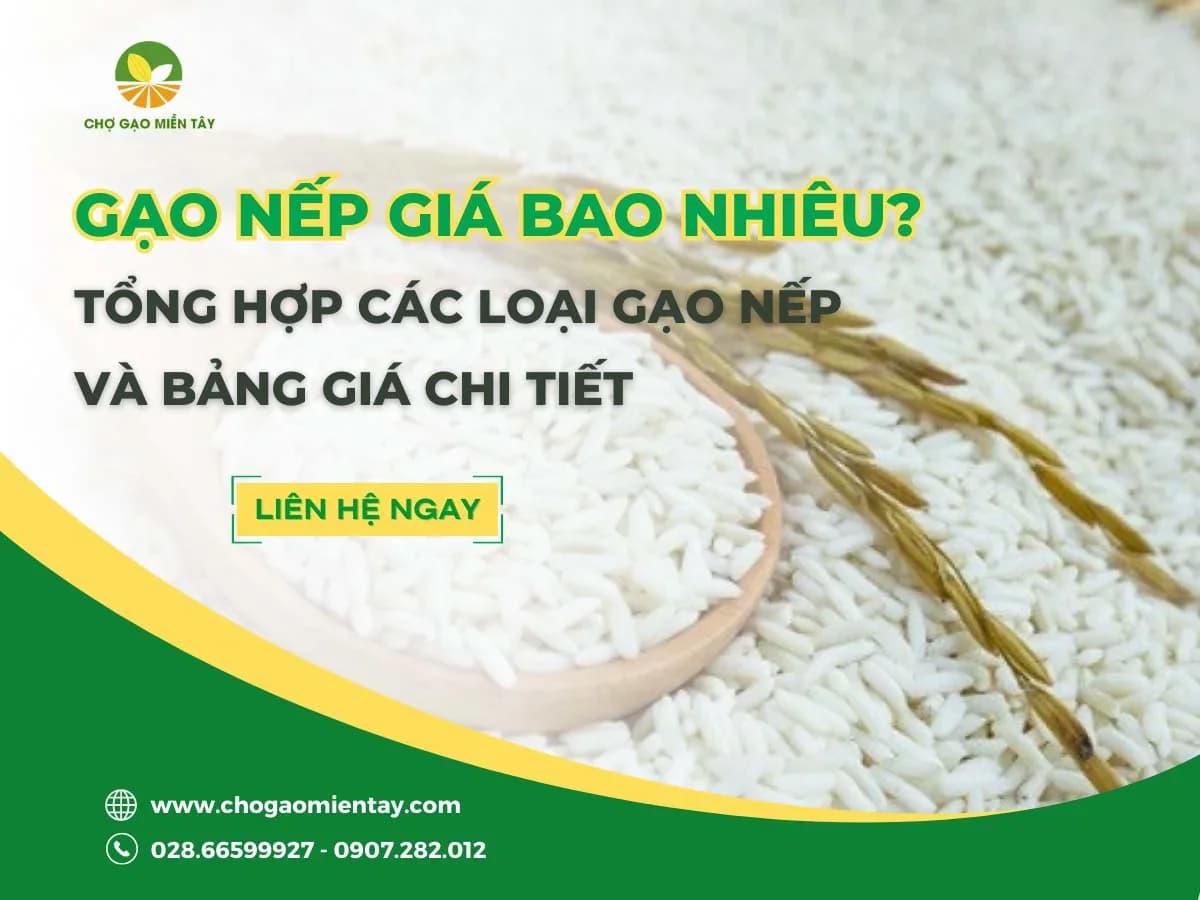 Gạo Nếp giá bao nhiêu? Bảng Giá Gạo Nếp Mới Nhất 2024