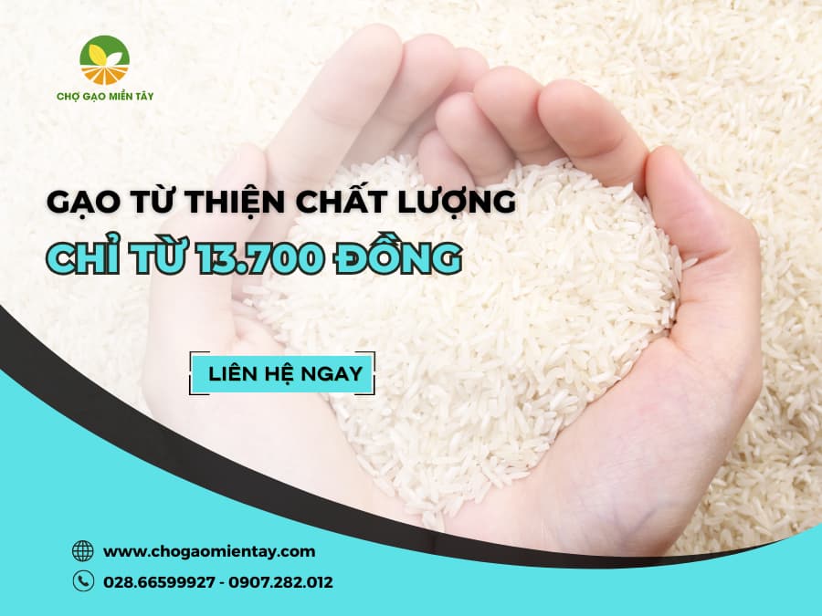 #1 Gạo Từ Thiện Giá Sỉ | Gạo Từ Thiện Chỉ Từ 13.700đ