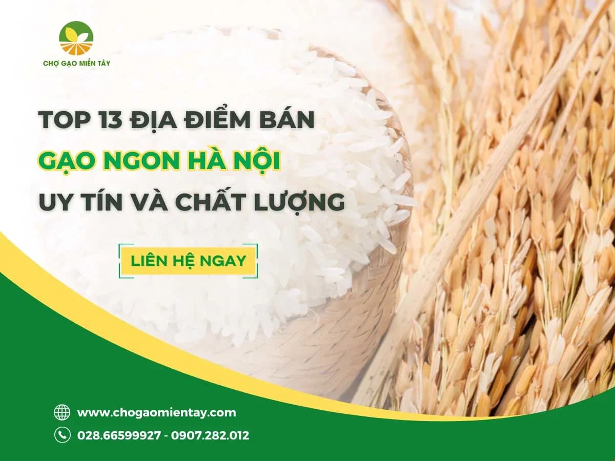 Gạo ngon ở Hà Nội mua ở đâu uy tín chất lượng