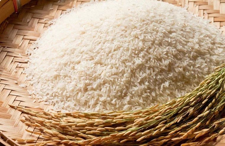 Phân biệt gạo cũ và gạo mới