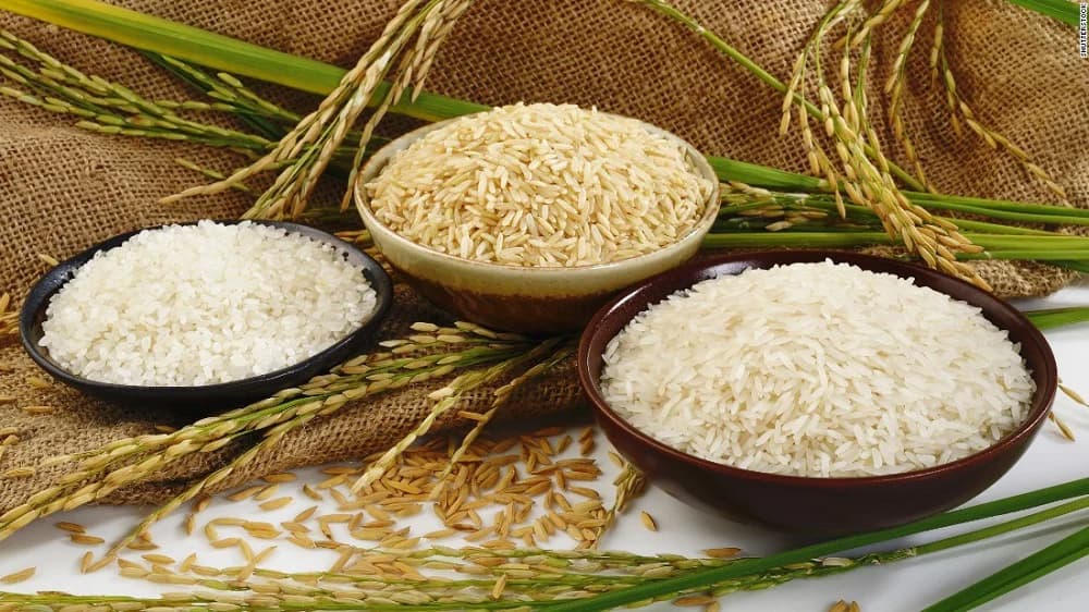 Tối thiểu chi phí phân phối gạo đến quán ăn, nhà hàng, khách sạn