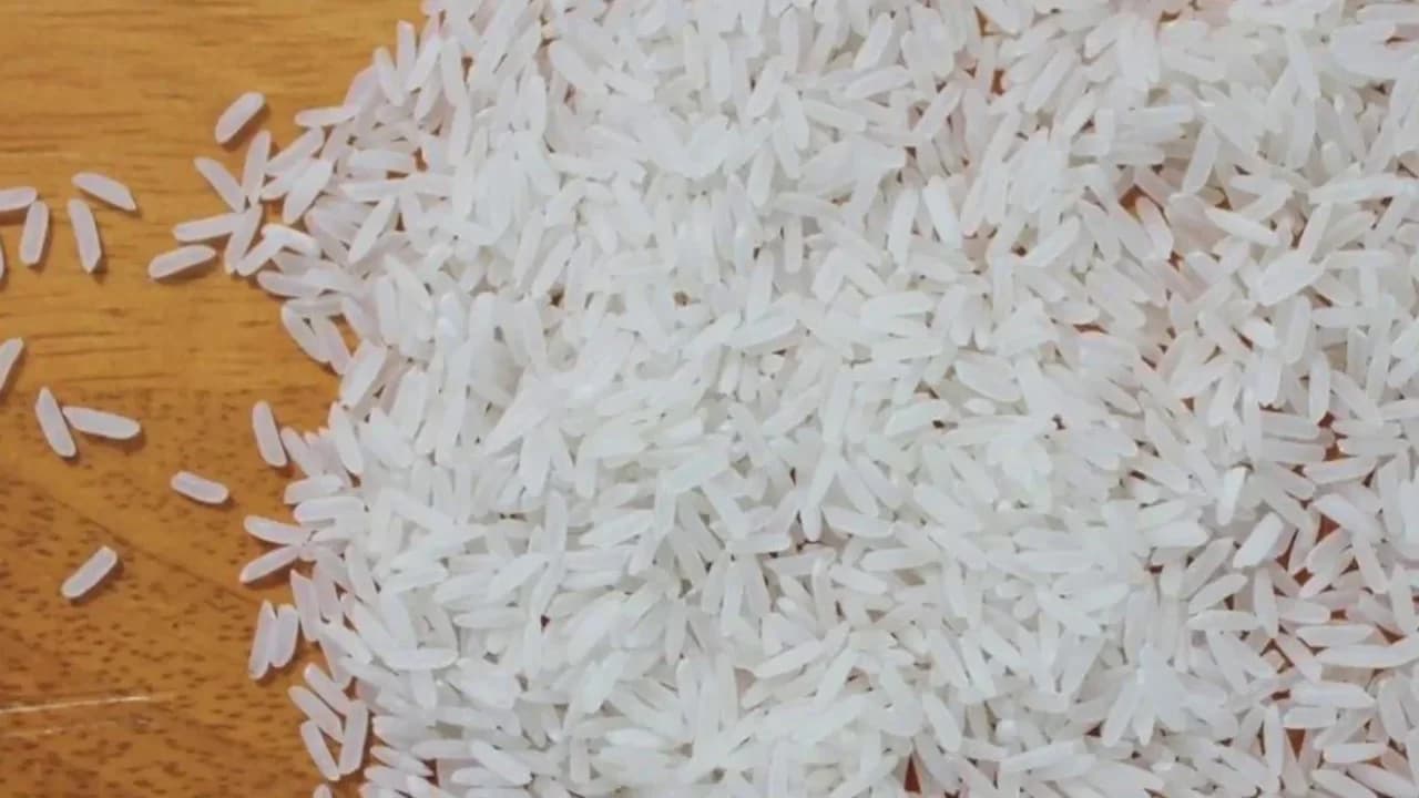 Có bao nhiêu mùa lúa gạo trong năm