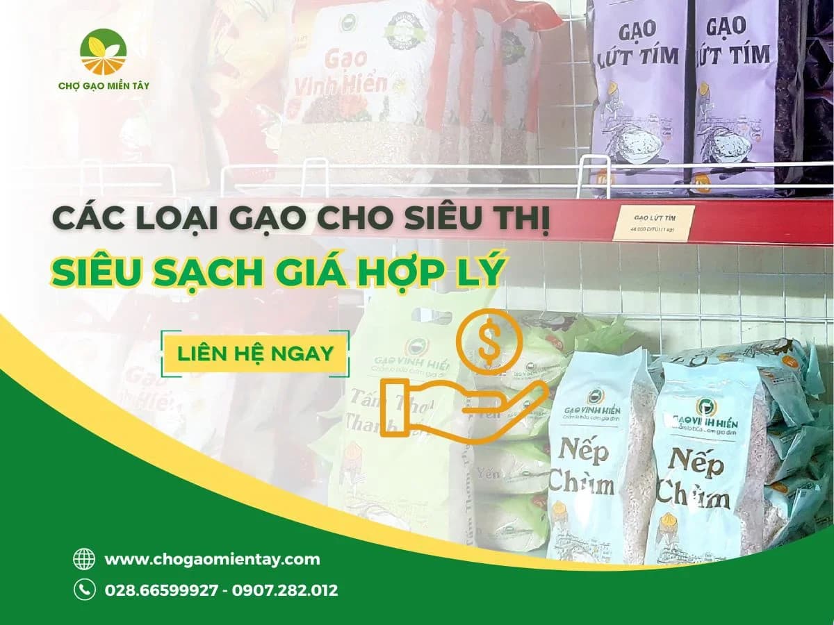 Các loại gạo cho siêu thị siêu sạch giá hợp lý