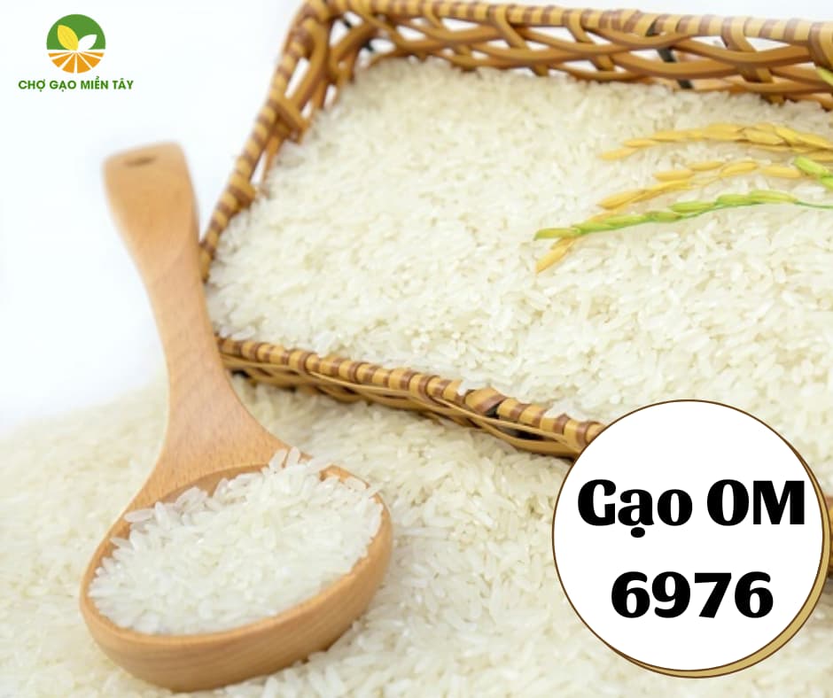 Chợ Gạo Miền Tây cung cấp gạo 6976 giá tận gốc