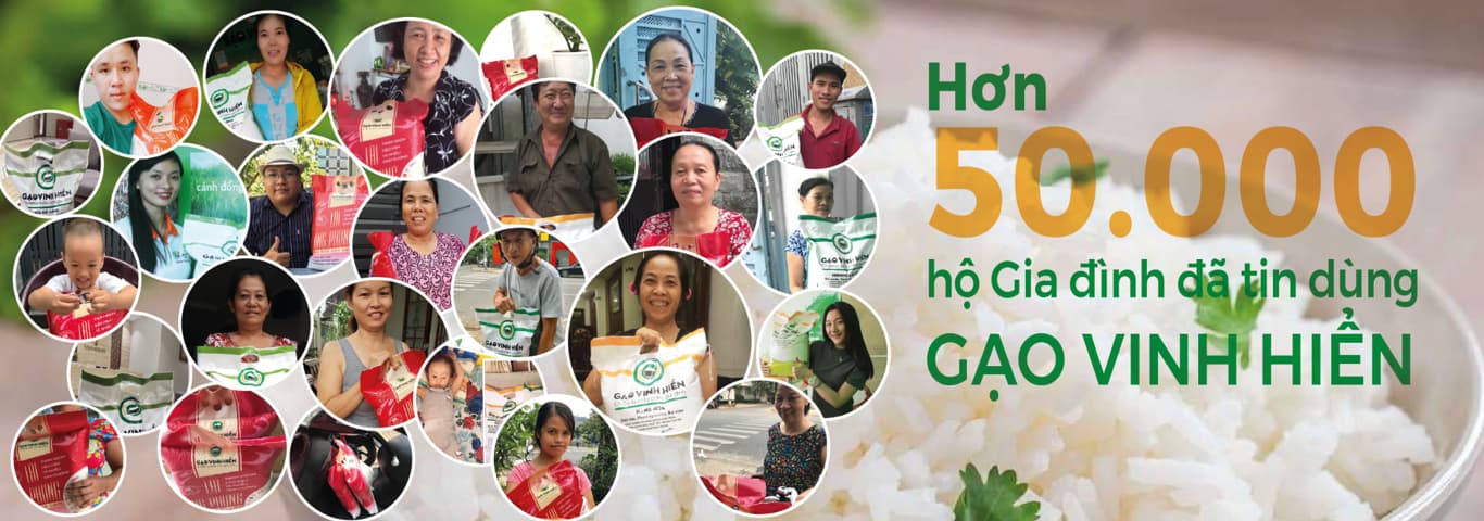 Cách chúng tôi đem hạt gạo gần hơn với người tiêu dùng