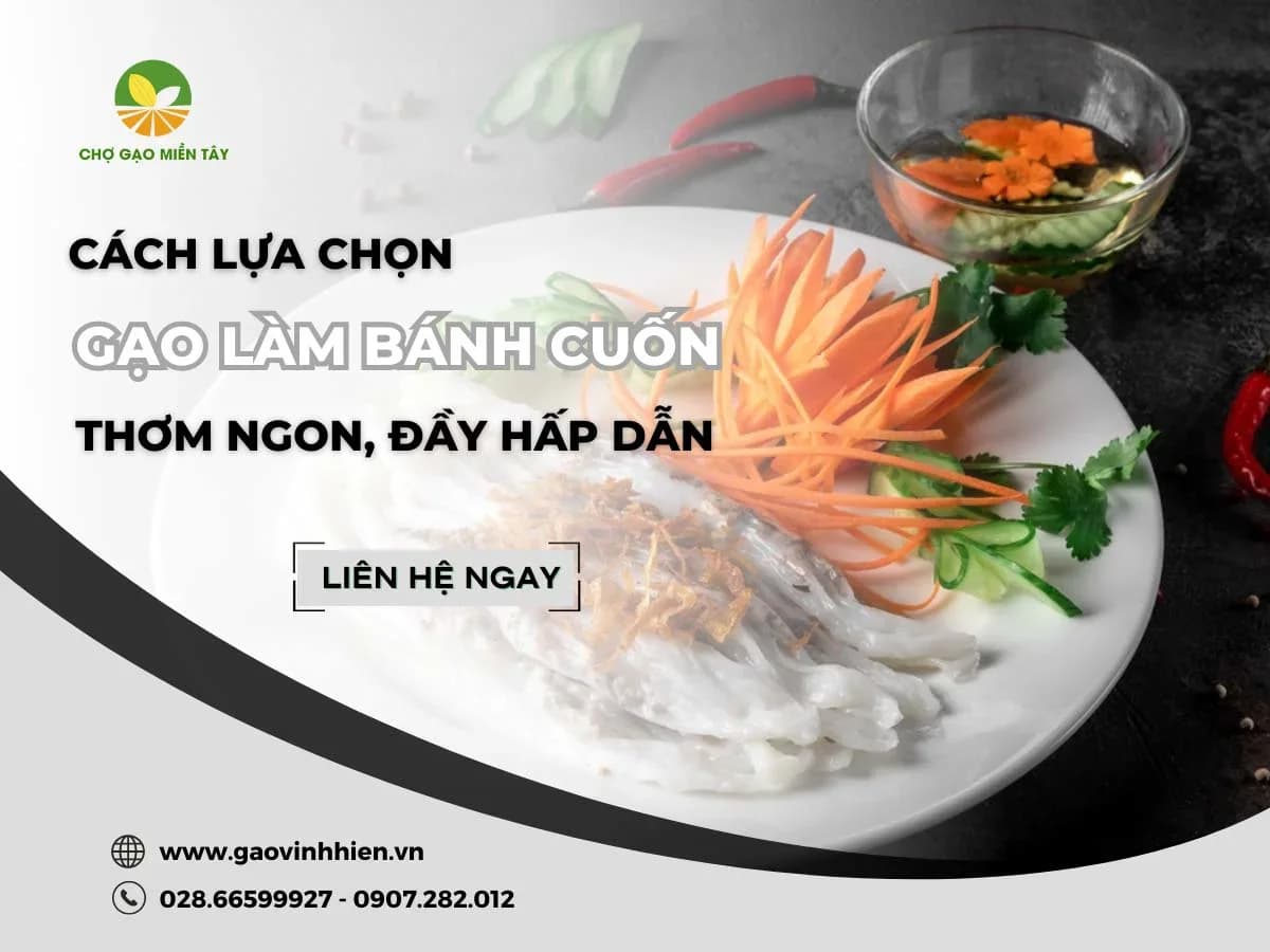 Gạo làm bánh cuốn thơm ngon, đầy hấp dẫn