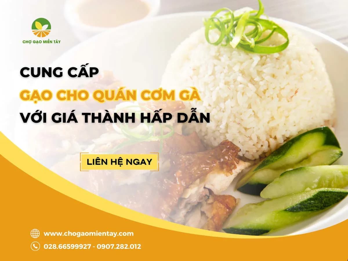 Cung cấp gạo cho quán cơm gà giá sỉ tại TP. HCM