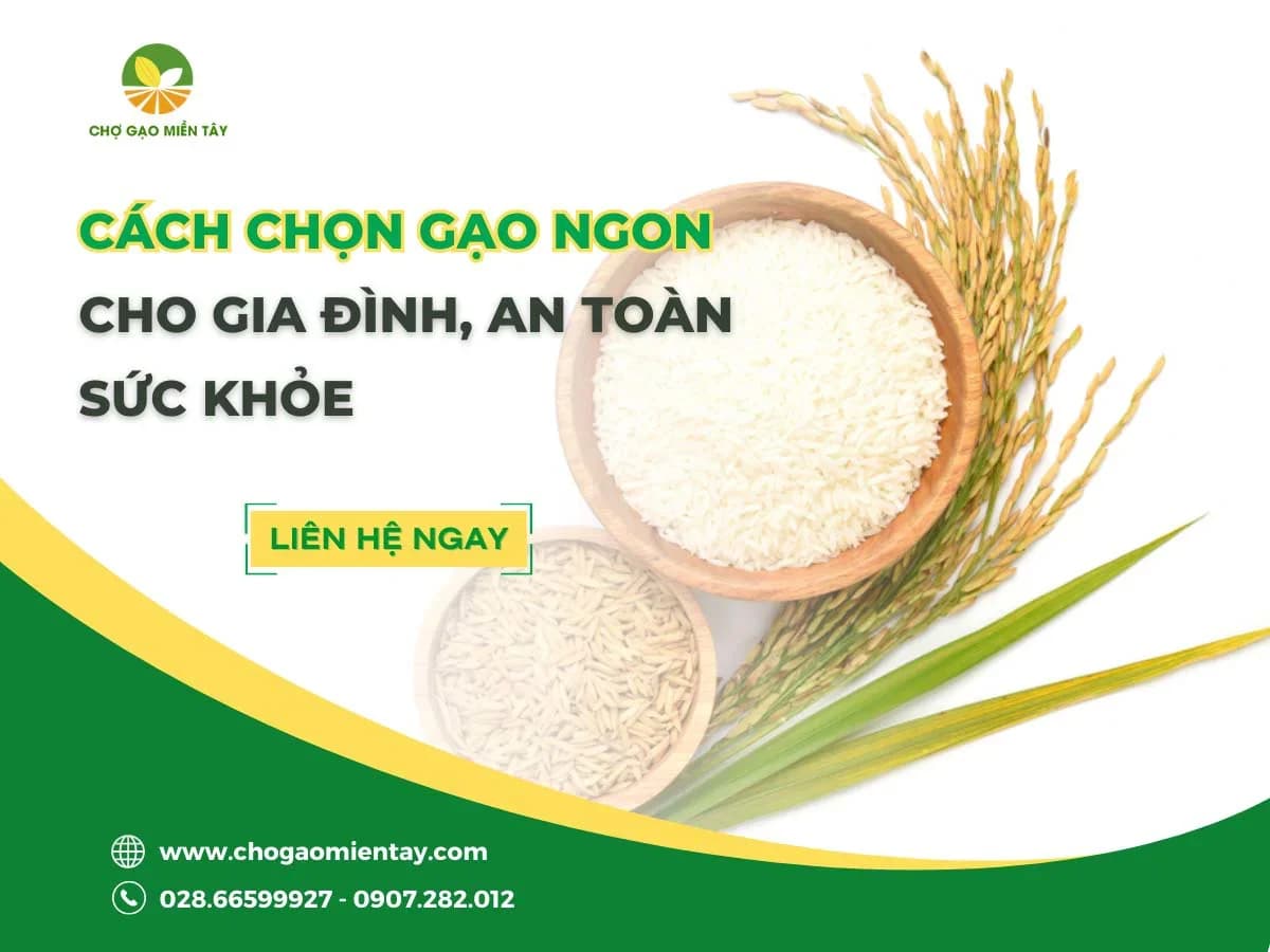 Cách chọn gạo ngon cho gia đình an toàn sức khỏe