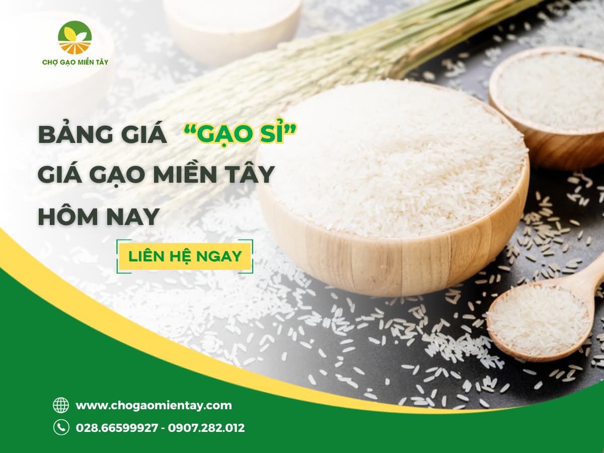 GIÁ GẠO HÔM NAY BAO NHIÊU? BẢNG GIÁ GẠO MIỀN TÂY