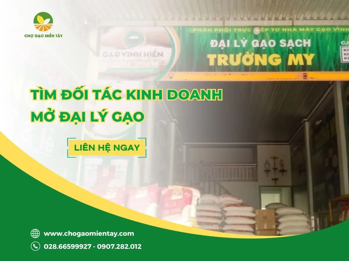 Tìm đối tác kinh doanh mở đại lý gạo