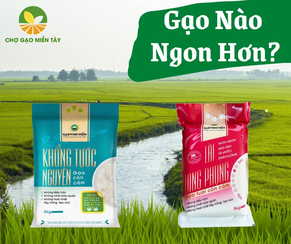 So Sánh Gạo Khổng Tước Nguyên Và Lài Long Phụng