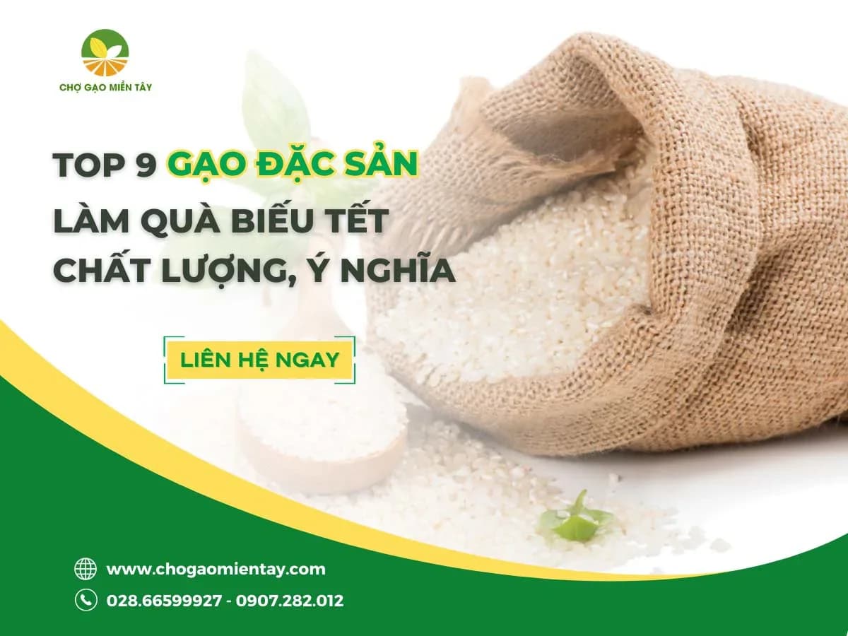 Top 9 gạo đặc sản làm quà biếu Tết chất lượng, ý nghĩa