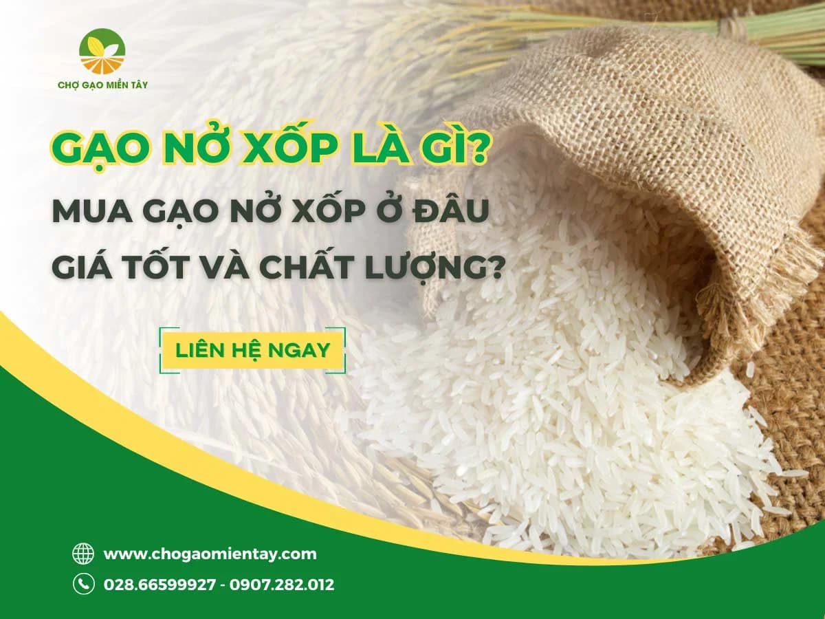 Các loại gạo xốp nở, lợi cơm tại Chợ Gạo Miền Tây