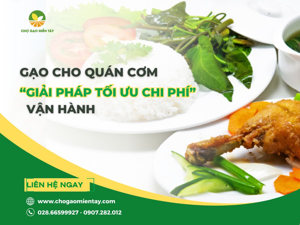 Gạo cho quán cơm- cách chọn đúng loại để tối ưu chi phí và giữ khách quay lại