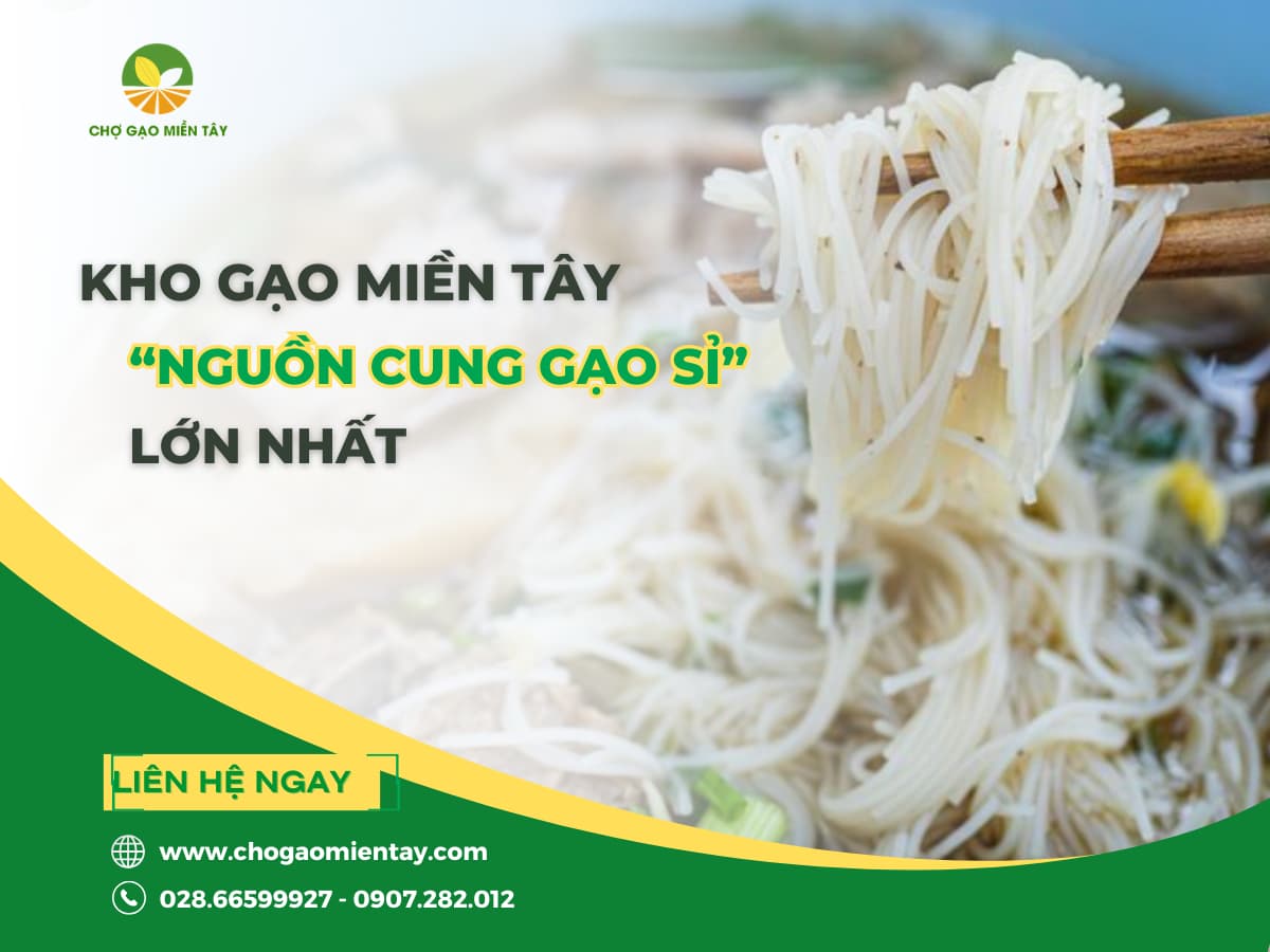 1 ký gạo làm được bao nhiêu ký bún? Cách tính chuẩn cho cơ sở sản xuất