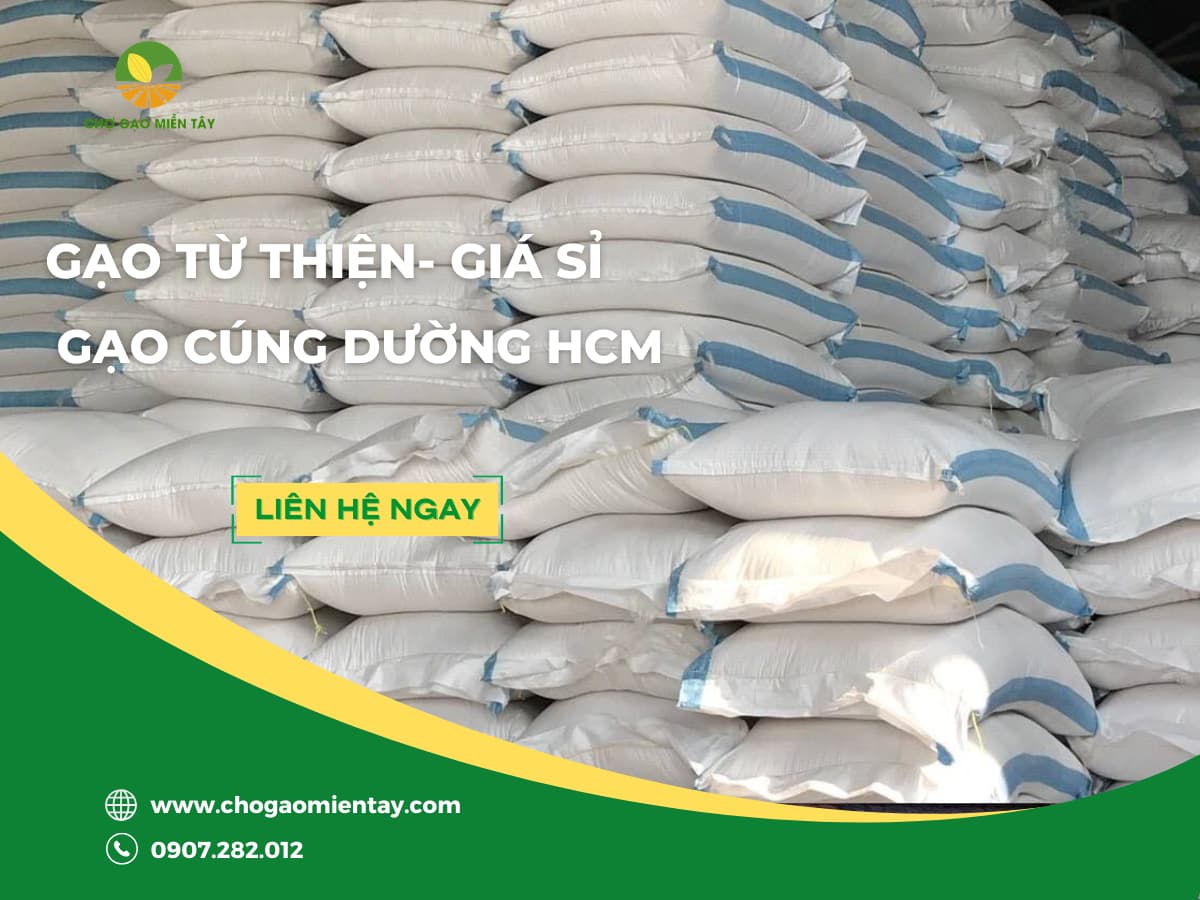 MUA GẠO TỪ THIỆN- CÚNG DƯỜNG GIÁ SỈ TẬN KHO HCM