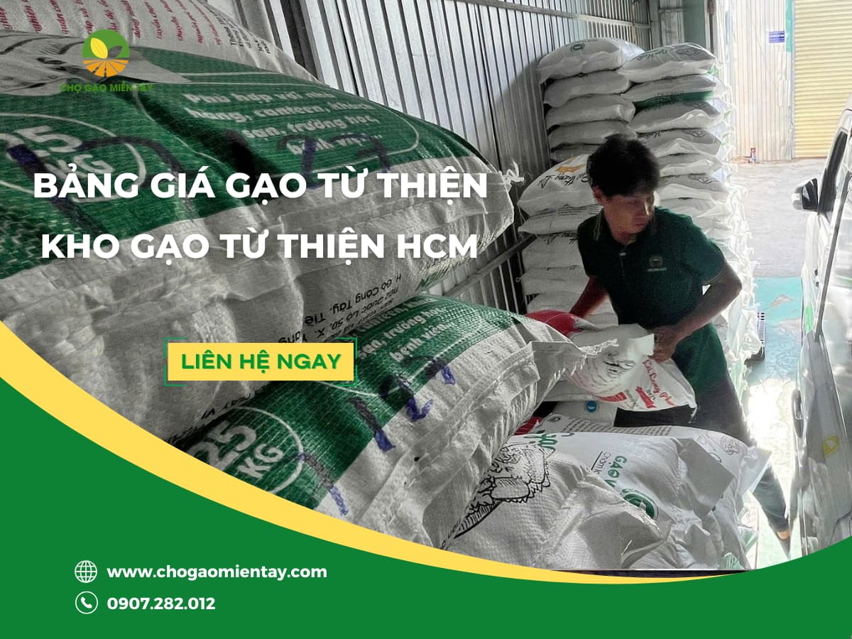 Bảng Giá Gạo Từ Thiện Tại Tp.HCM Và Các Tỉnh Lận Cận 2026