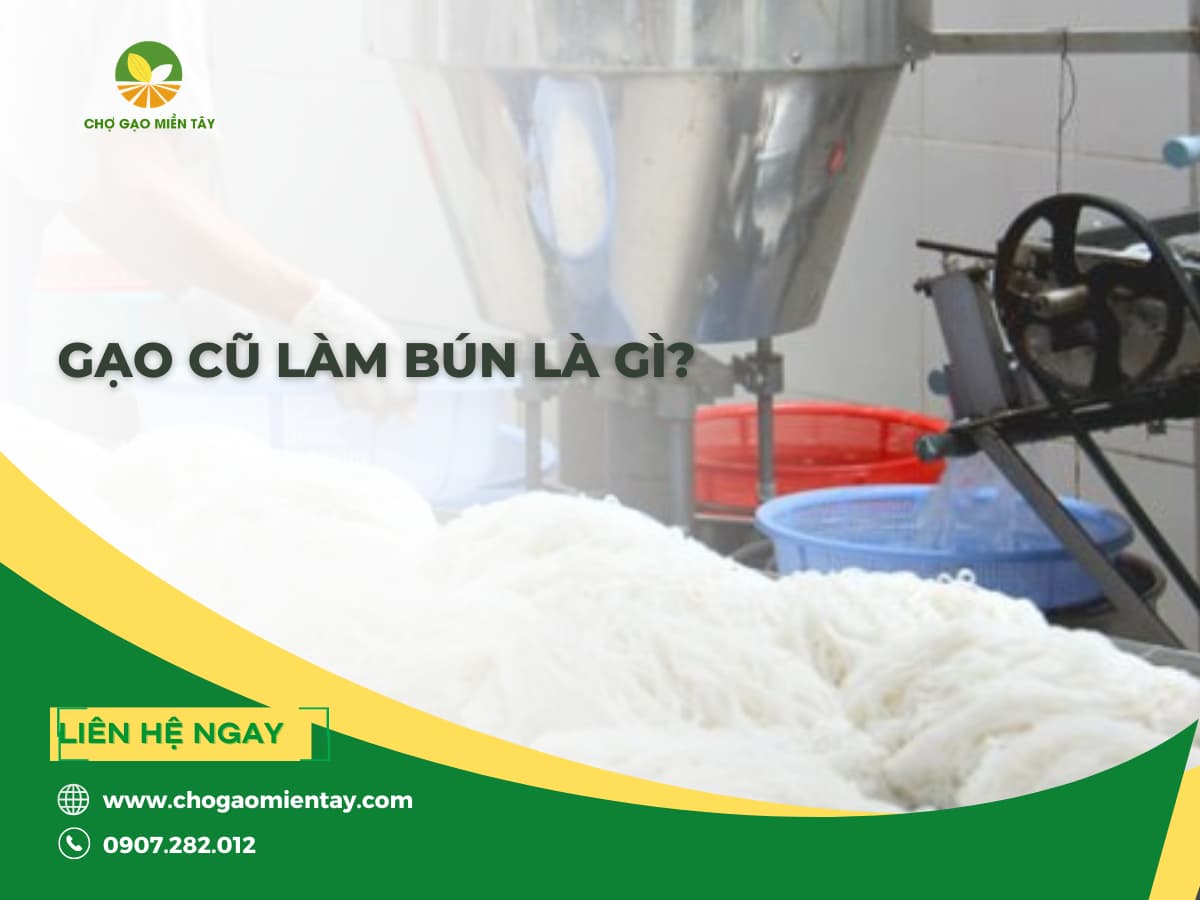 Gạo Cũ Làm Bún Là Gì? Tiêu Chí Chọn Nguyên Liệu Cho Cơ Sở Sản Xuất