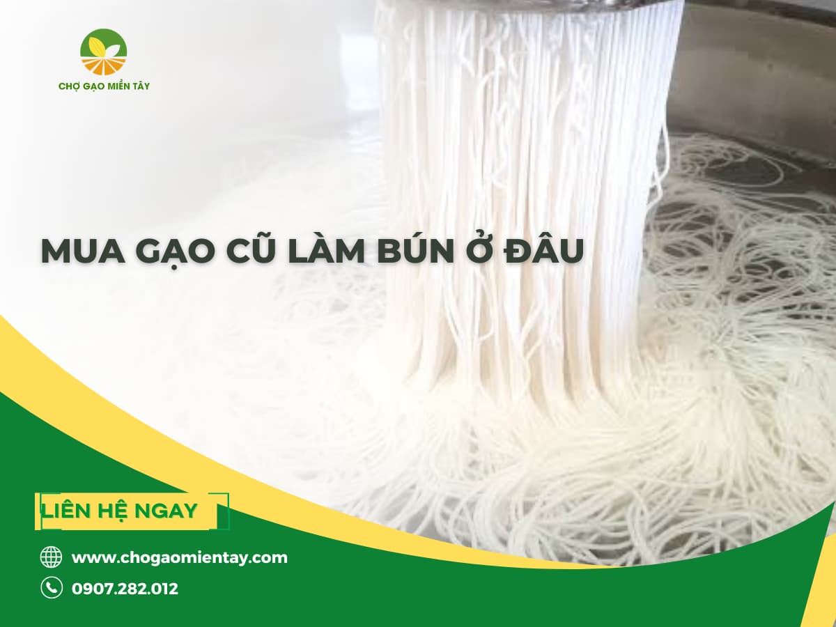 Mua Gạo Cũ Làm Bún Ở Đâu? Kinh Nghiệm Tìm Nguồn Hàng Số Lượng Lớn