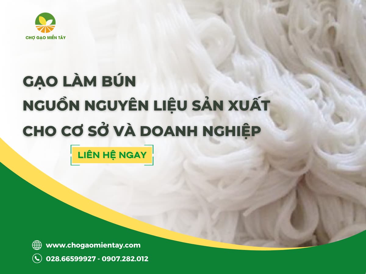 Gạo Làm Bún-Nguồn Nguyên Liệu Cho Cơ Sở Sản Xuất