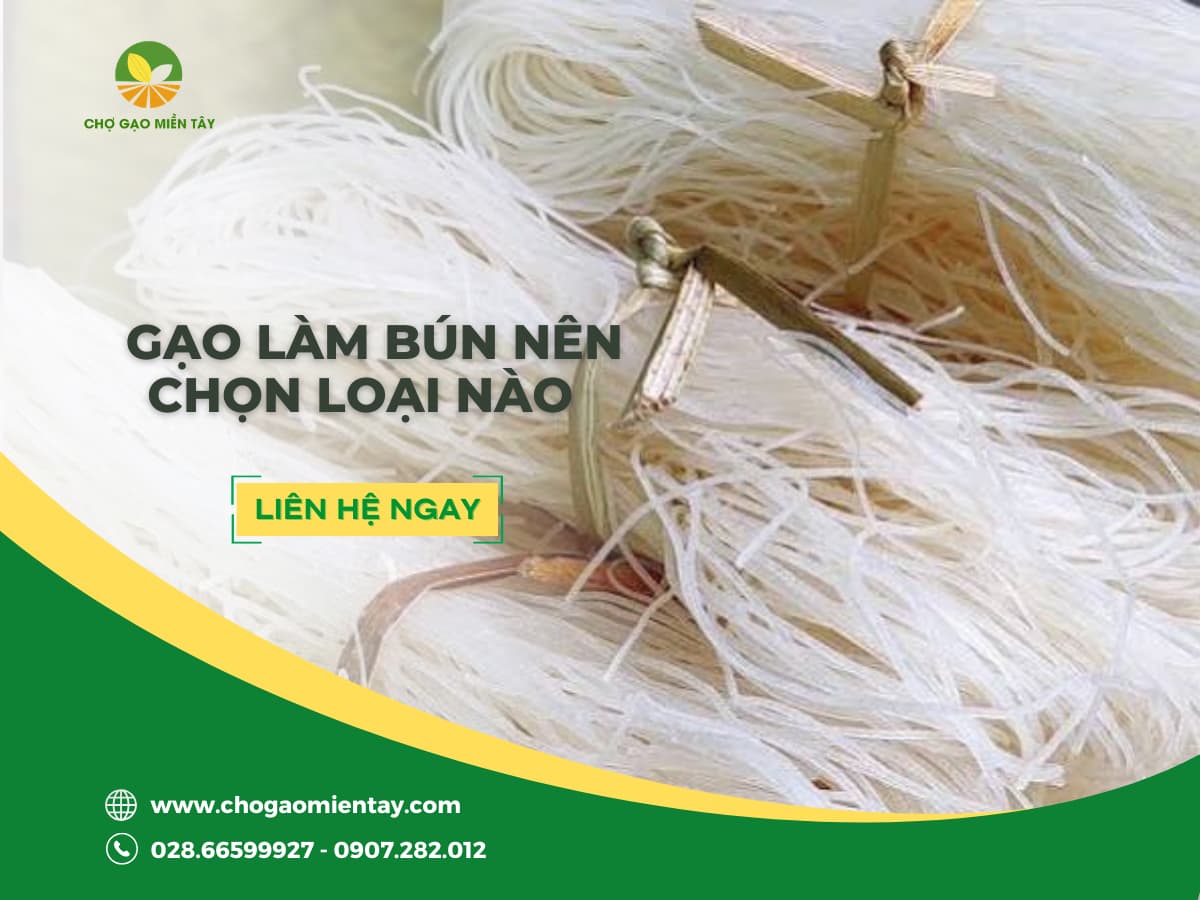 Gạo Làm Bún Nên Chọn Loại Nào?