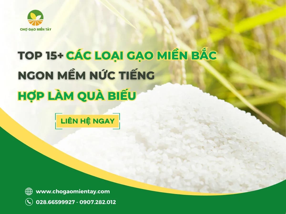 Top 15+ Các Loại Gạo Miền Bắc Ngon Mềm Nức Tiếng Hợp Làm Quà Biếu