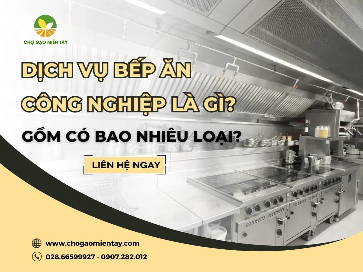 Dịch Vụ Bếp Ăn Công Nghiệp Là Gì? Gồm Có Bao Nhiêu Loại?
