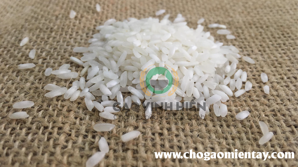 Gạo Tài nguyên Chợ Đào - một trong các loại gạo nở xốp