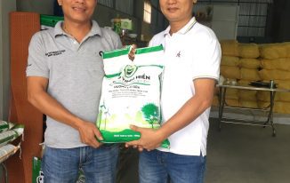Phát triển gạo tại thị trường miền trung