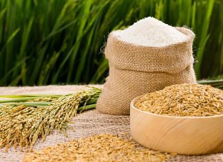 thị trường lúa gạo Việt Nam