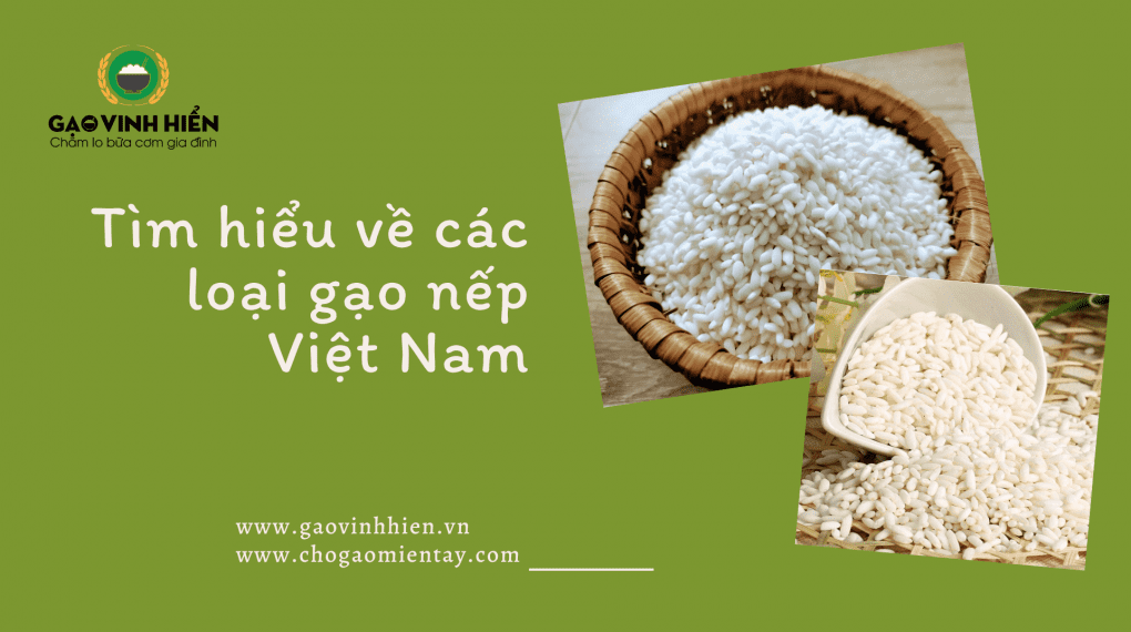 Các loại gạo nếp Việt Nam