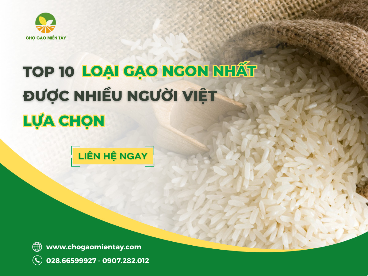 [Mới Nhất] Top 10 Các Loại Gạo Ngon Nhất Việt Nam Được Người Tiêu Dùng Tin Cậy
