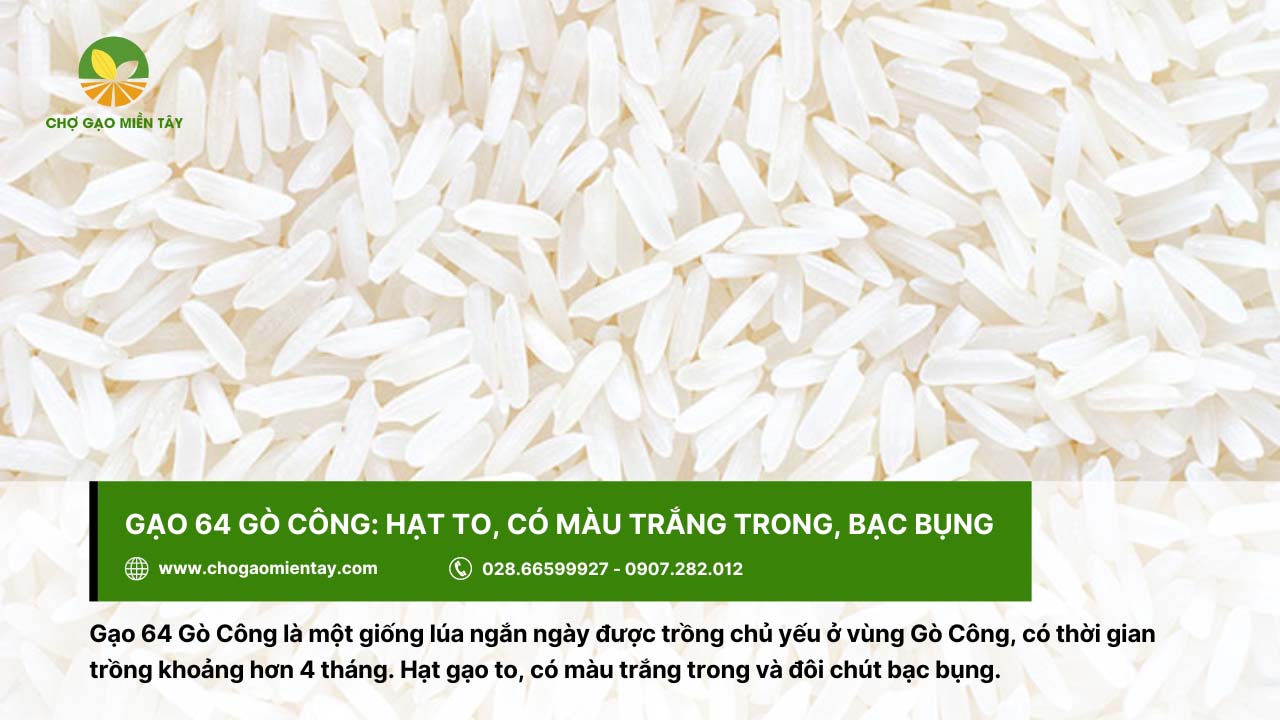 Gạo 64 Gò Công có hạt gạo to, màu trắng