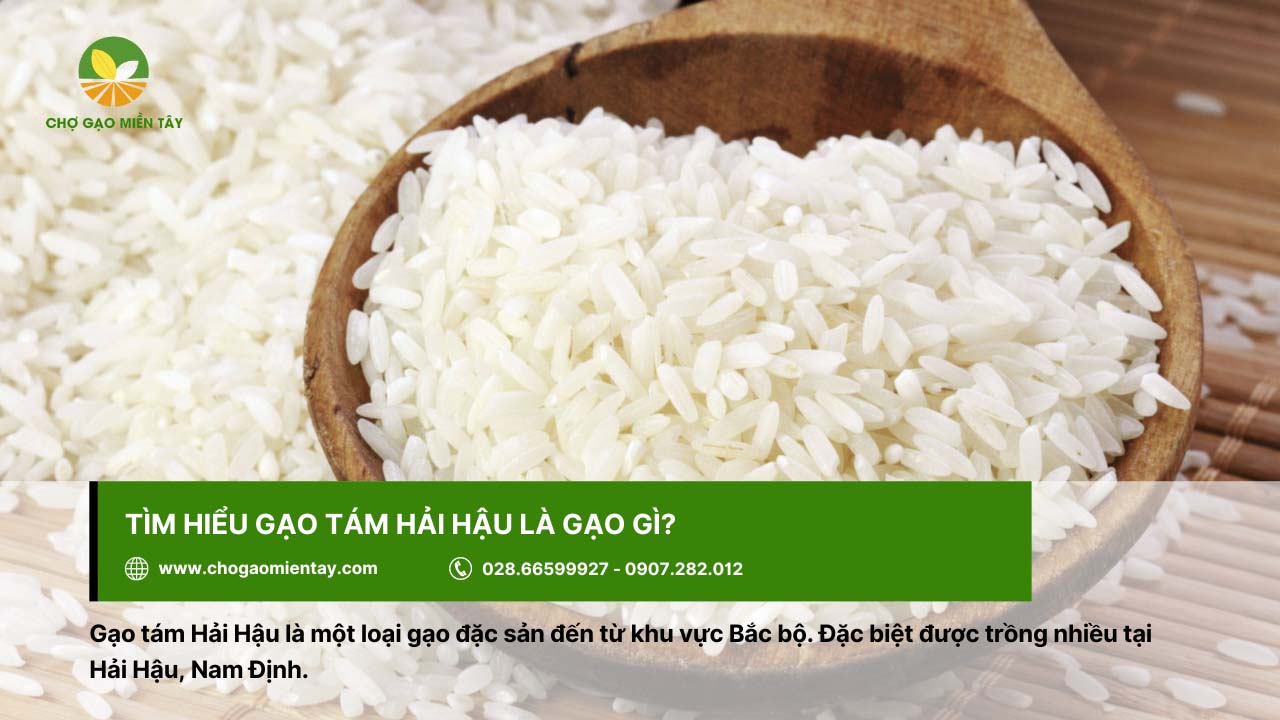Gạo tám Hải Hậu là loại gạo nổi tiếng ở vùng Bắc bộ