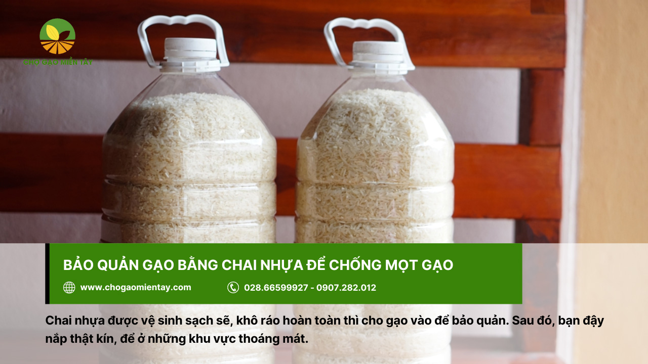 Bảo quản gạo chống mọt gạo bằng chai nhựa