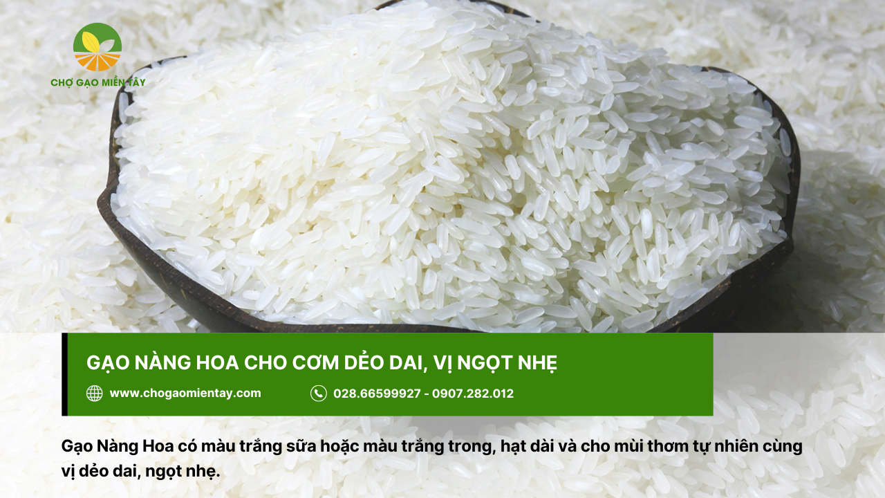 Gạo Nàng Hoa cho cơm có mùi thơm tự nhiên