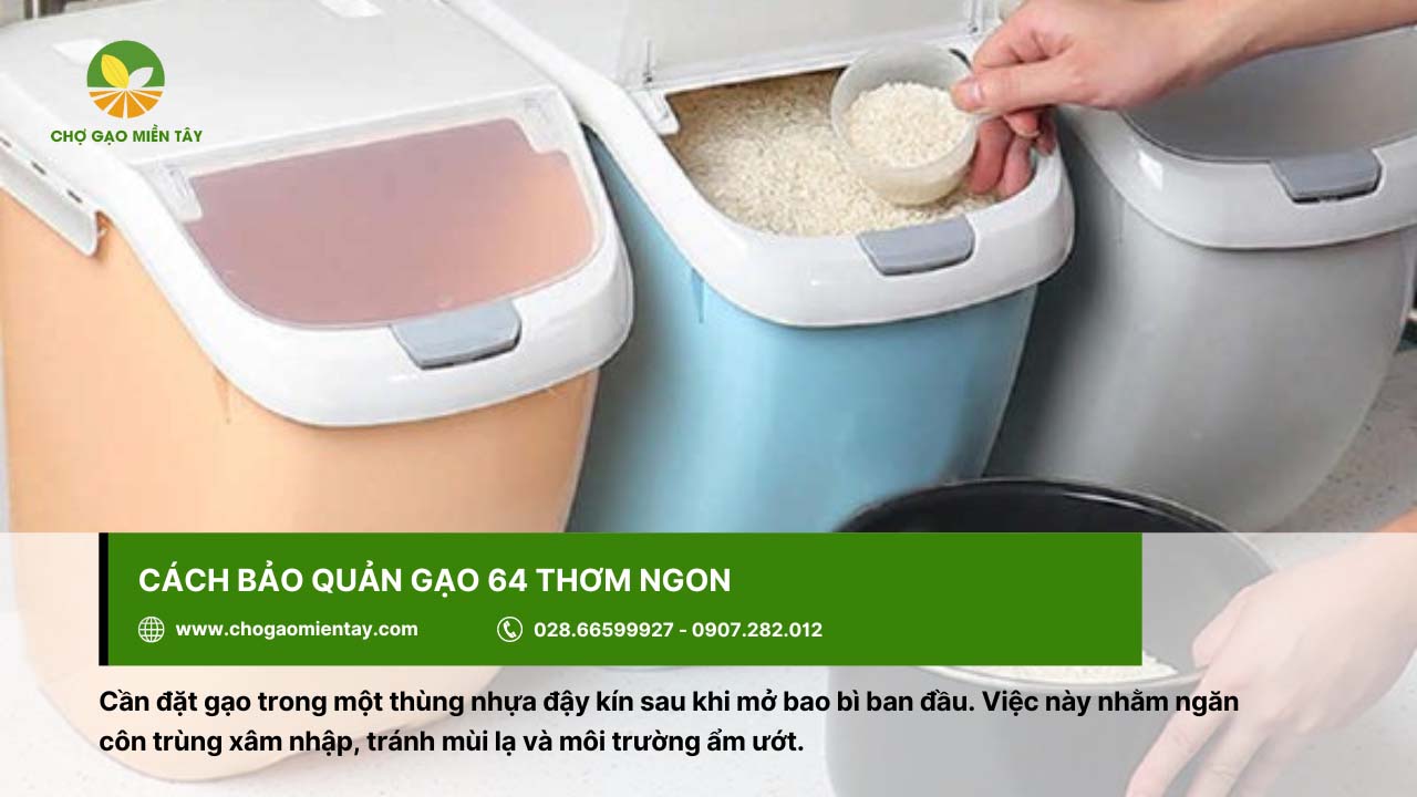 Nên bảo quản gạo 64 trong các thùng nhựa kín