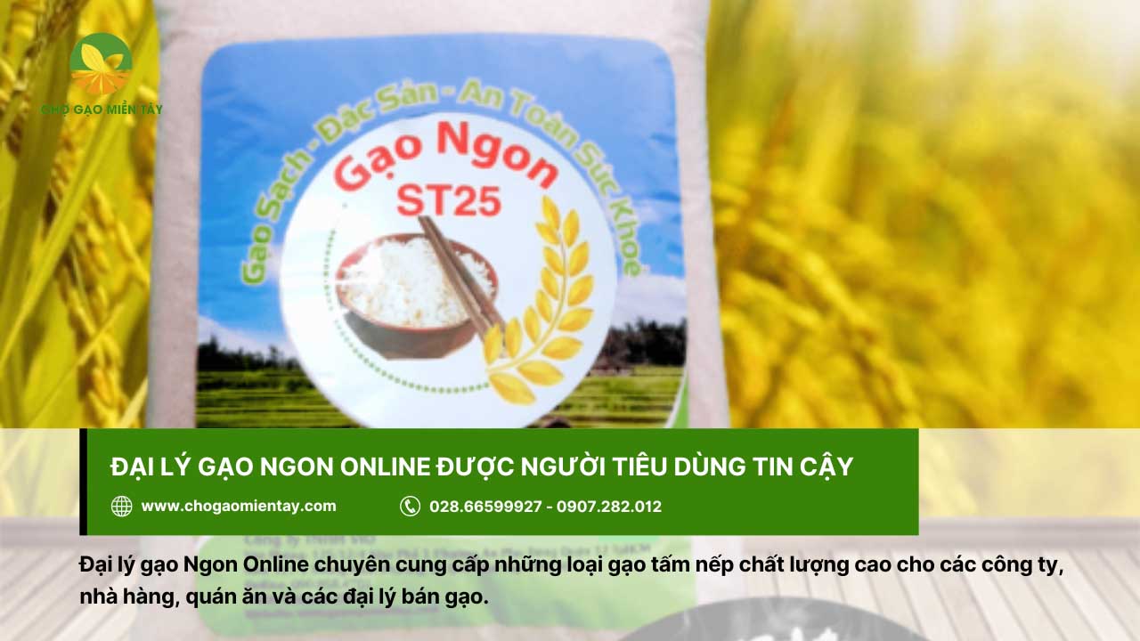 Đại lý Ngon Online cung cấp đa dạng các loại gạo