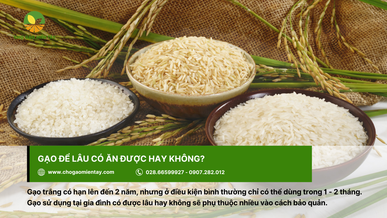 Gạo có để lâu được hay không còn tùy thuộc vào cách bảo quản