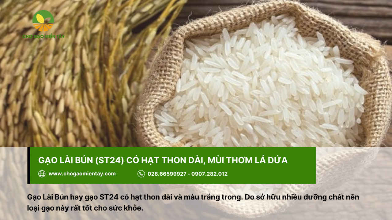Gạo Lài Bún tốt cho sức khỏe nhờ sở hữu các dưỡng chất cần thiết