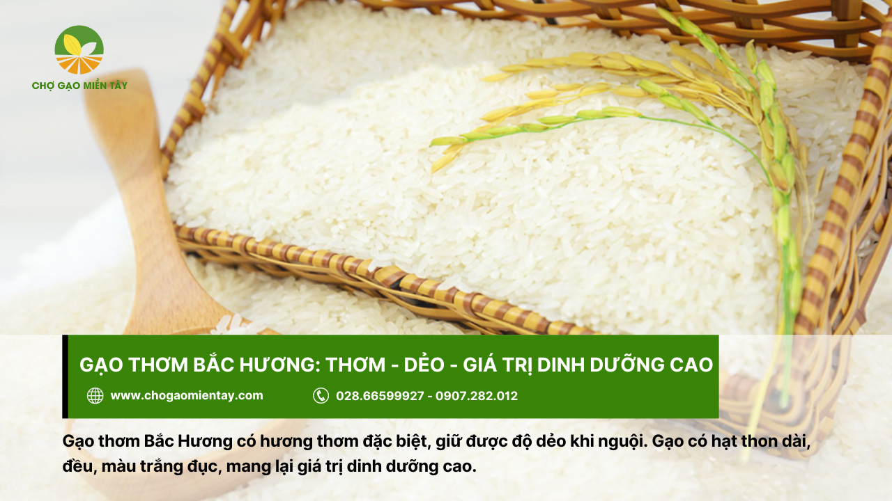 Gạo thơm Bắc Hương giữ được độ dẻo của cơm, kể cả khi nguội