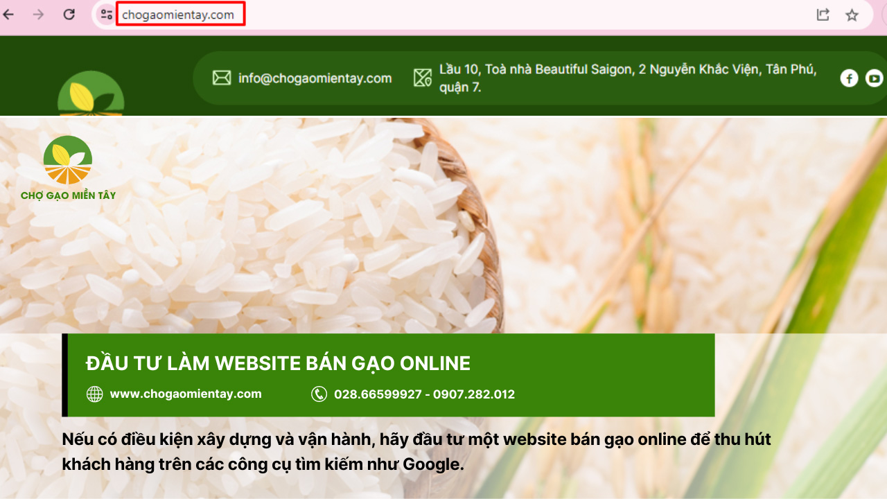 Đầu tư trang web bán gạo online để thu hút tệp khách hàng trên các công cụ tìm kiếm