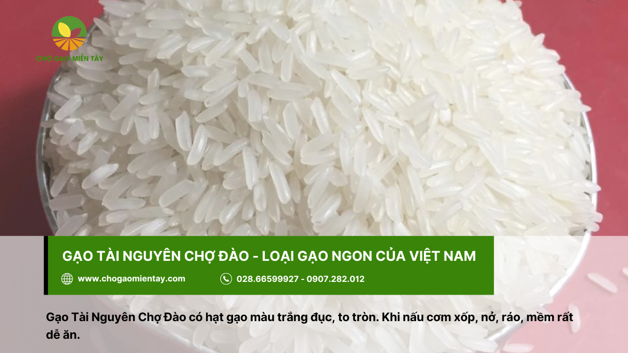 Gạo Tài Nguyên Chợ Đào là loại gạo ngon của Việt Nam