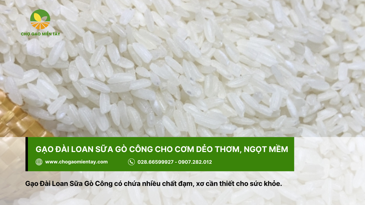 Gạo Đài Loan Sữa Gò Công cho hạt cơm dẻo, mềm